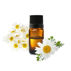 flacon d'huile essentielle de camomille