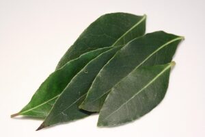 5 feuilles de laurier noble